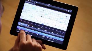 Bluebeam Revu iPad Markups list [upl. by Baker]