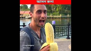 কখনও ভেবেছেন কি এতো বড় কলার বিচি ছোট কেন🍌 Real biggest banana fruits shorts facts [upl. by Mattah]