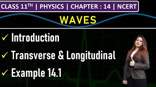 Class 11th Physics  Waves  Transverse amp Longitudinal Waves  Example 141  Chapter 14  NCERT [upl. by Darce]