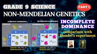 NONMENDELIAN GENETICS INCOMPLETE DOMINANCE  GRADE 9 SCIENCE  BIOLOGY [upl. by Selway]