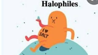 What is Halophiles Types of Halophiles  isolation techniques for cultivation of Halophiles [upl. by Lowis533]