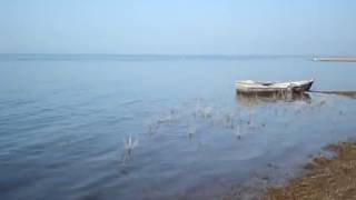 View of Pong Lake near Haripur Bhatoli Kangra Himachal Pradesh  Himachal Darshan [upl. by Aihsetal271]