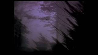 Stan Brakhage DOG STAR MAN  PRELUDE last few minutes [upl. by Dru]