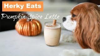 DIY PUMPKIN SPICE LATTE FOR DOGS  DIY Dog Treats  Herky Eats [upl. by Zindman]