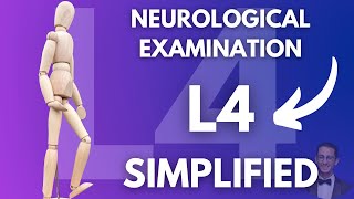 How to Examine Lumbar 4 Nerve Root Neurological Examination Simplified [upl. by Laenahtan]