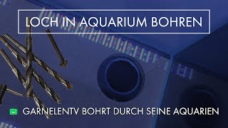 Loch in die Aquarien Bohren  Aquarienanlagen Bau  GarnelenTv [upl. by Ecital]