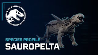 Species Profile  Sauropelta [upl. by Holmes750]