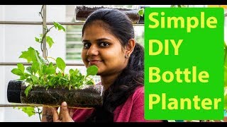 Waste Bottle Planter  Gardening ideas Malayalam II Gardening ideas for beginners Malayalam [upl. by Ruthann152]