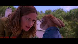 Peter Rabbit 2018  Peter bring flopsy love back 1313 [upl. by Ardnaed]