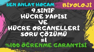 9 SINIF HÃœCRE YAPISI VE HÃœCRENÄ°N ORGANELLERÄ° SORU Ã‡Ã–ZÃœMLERÄ° 1  TYT BÄ°YOLOJÄ°  âœ… [upl. by Ortrude]