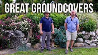 10 Great Groundcovers for your Garden [upl. by Darsey]