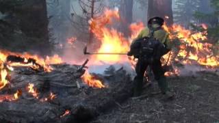 Wildland Fire Recruiting Video [upl. by Lallage992]