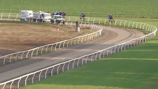 Burdekin 04112023 Race 6 [upl. by Naomi601]