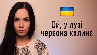 🇺🇦 Ой у лузі червона калина Ukrainian patriotic folk song [upl. by Olifoet978]