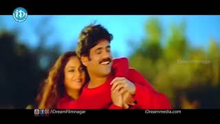 Nuvvante Nakishtam Video Song  Santosham Movie Nagarjuna Gracy Singh Shriya Saran [upl. by Saerdna]