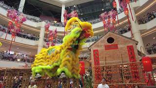 PreCNY 2024  Acrobatic Lion Dance by 一鳴 Yi Meng [upl. by Stuppy839]