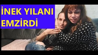 İNEK YILANI EMZİRDİ GÖRDÜM [upl. by Annovaj557]