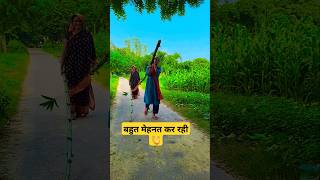 हार्ड वर्क 👏😭saport sortvideo nirjalanishad [upl. by Hgielhsa605]