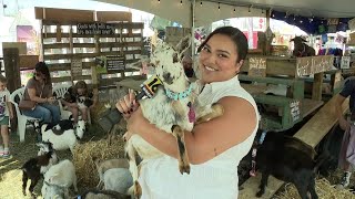 Preview Day at the Bloomsburg Fair [upl. by Sinegra672]