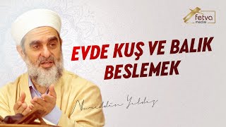 Evde Kuş ve Balık Beslemek  Nureddin Yıldız  fetvameclisicom [upl. by Idet683]