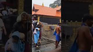 Sabarimala Live visuals today 17052024 ayyappa sabarimala viral shorts sabarimalaofficial [upl. by Griswold]