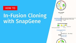 InFusion Cloning with SnapGene [upl. by Wadesworth]