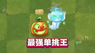 植物大战僵尸：5阶杰克南瓜灯：1V1概念神！植物大战僵尸2 [upl. by Assyral781]