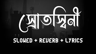 Encore  Srotoshini  Slowed  Reverb  Lyrics  স্রোতস্বিনী  Zarif Vibes [upl. by Asinla]