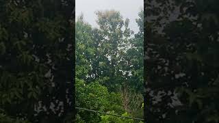 Zoom test of redmi 9 comedymemes howtoearnmoneybyplayingfreefire [upl. by Sutphin462]