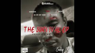 Saddiq Shishi  Survivor Audio prod By J row [upl. by Namreh869]