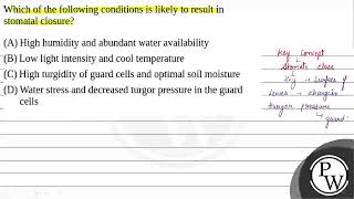 Which of the following conditions is likely to result in stomatal closure [upl. by Harwell]