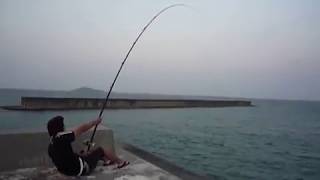 Huge fishing Giant trevally fishing GT Fishing 島尻のプンガーラ [upl. by Nereil]