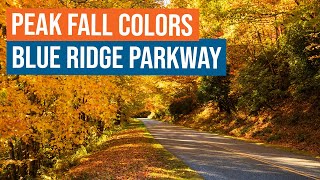 Peak Fall Colors on the Blue Ridge Parkway in NC [upl. by Asillem]