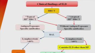 Diagnosis of Hypersensitivity Pneumonitis [upl. by Edin]