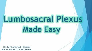 Lumbosacral Plexus Made Easy [upl. by Glanti]