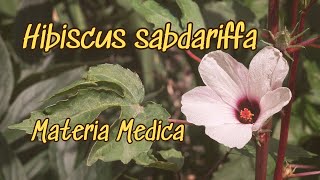 Hibiscus Materia Medica [upl. by Samara291]