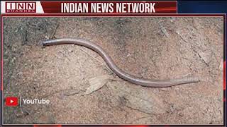 Rare snake spotted at Kambalakonda Sanctuary Visakhapatnam [upl. by Pelag]