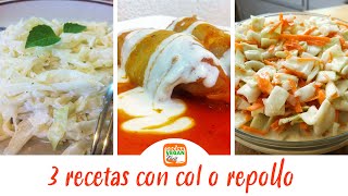 3 recetas con col o repollo  Cocina Vegan Fácil [upl. by Behlke]