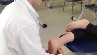 Goniometric Measurement Ankle subtalar eversion range of motion measurement [upl. by Yanehc446]