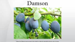 Damson [upl. by Legin]