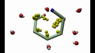 Hydrophobic Interactions in Protein Folding [upl. by Aneetak]