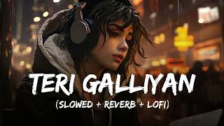 Teri Galiyaan Lofi Song Slow Reverb Ek Tha Villan  Siddharth Malhotra amp Shraddha Kapoor [upl. by Abigale]