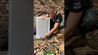 Gold Found Enhanced Gold Panning with Sluice System in a Mountain Stream GoldPanning [upl. by Anilrats]