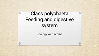 Phylum Annellida class polychaeta  Feeding and digestion in class polychaeta [upl. by Eita727]