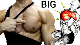 4 Best Chest Workout Exercises for Building Muscle [upl. by Magen755]