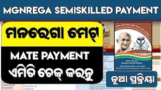 How to Check Mgnrega Mate Payment  Mate Payment Check Online In Odia [upl. by Dannie117]