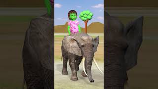 Tiger 🐯 or hathi 🐘 to h anaya ke pas lekin papa ko mummy se dar lagta h papa tiger elephant [upl. by Atsedom]