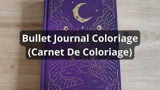 Bullet Journal Coloriage carnet de coloriage [upl. by Allegna]