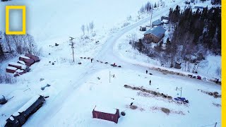 Capturing the Iditarod  Behind the Scenes  Life Below Zero [upl. by Strauss609]