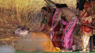 King Janaka found Sita while ploughing field  Ramlila 2017 [upl. by Helve]